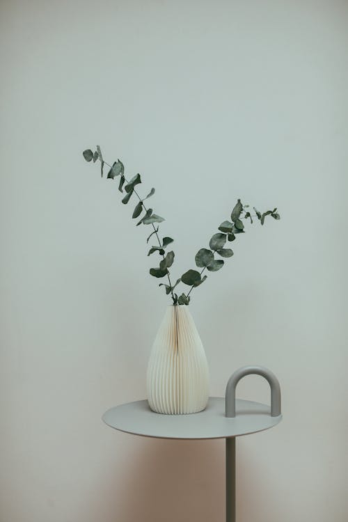 Plant in Vase on Table on White Wall Background
