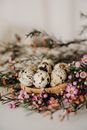 Brown and White Cookies on Pink and White Floral Textile
