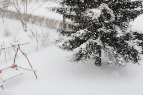 Free A tranquil snowy scene featuring a snow-covered tree and swing in a winter landscape. Stock Photo