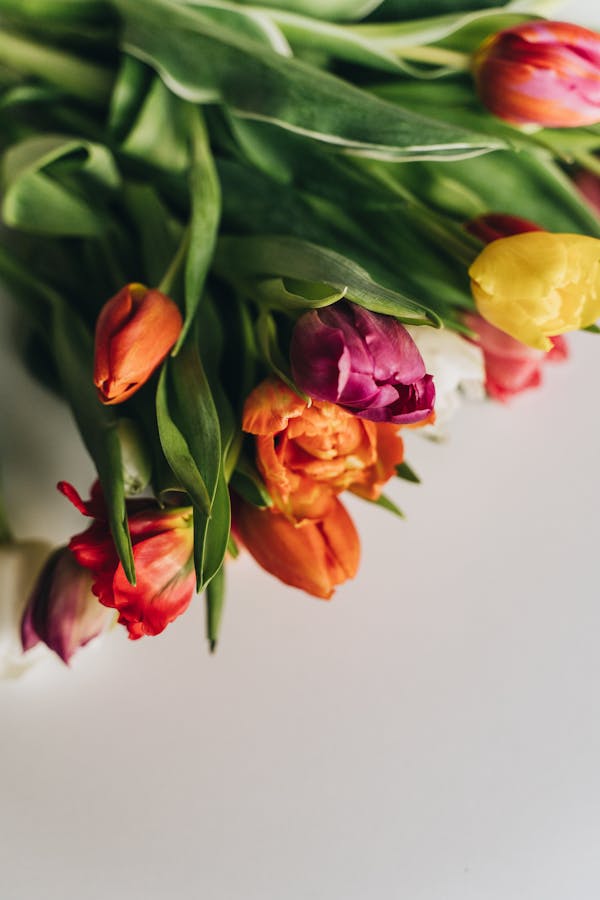 Soy Wax Aromatherapy Candle