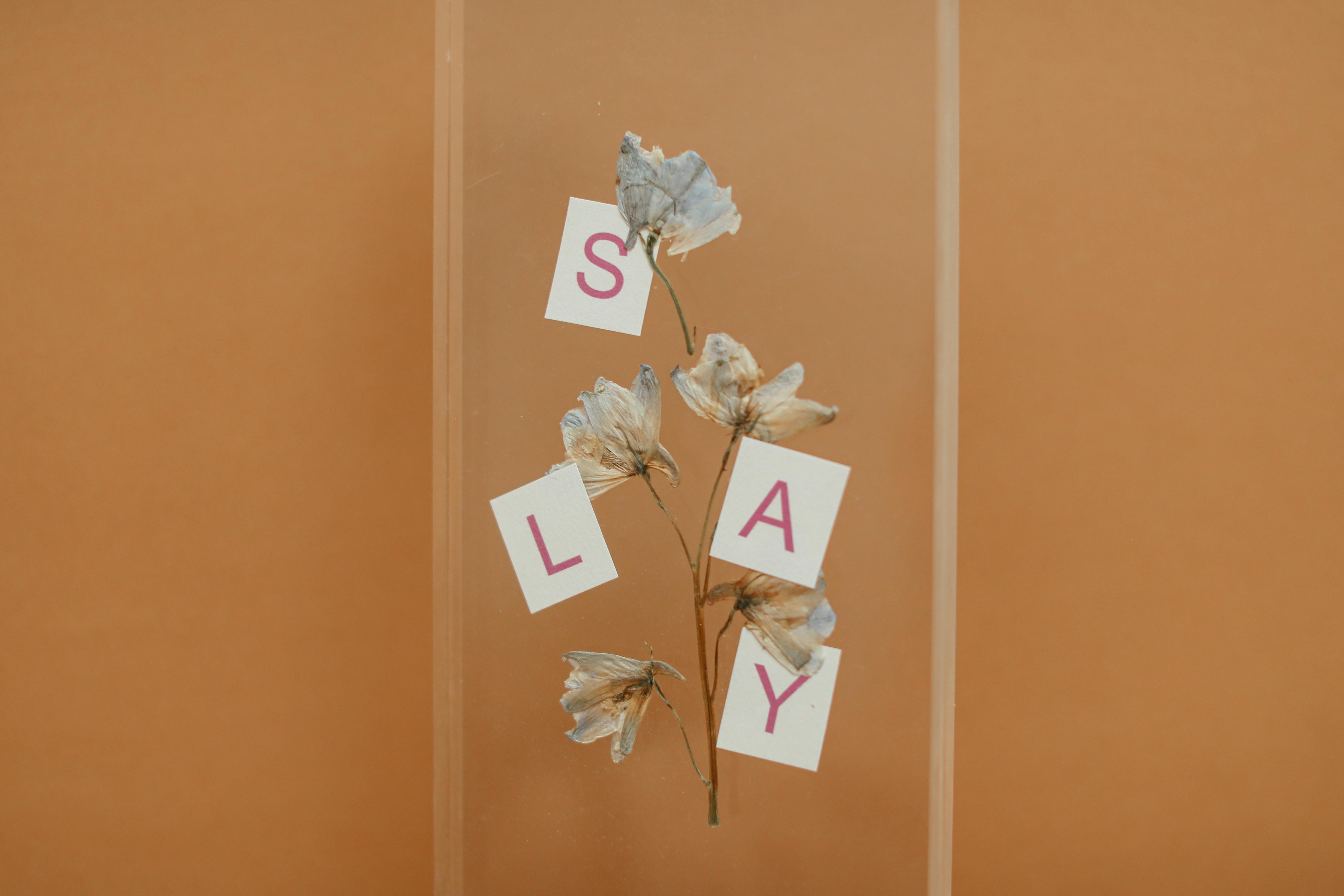 wilted flowers and cut out letters in a transparent frame