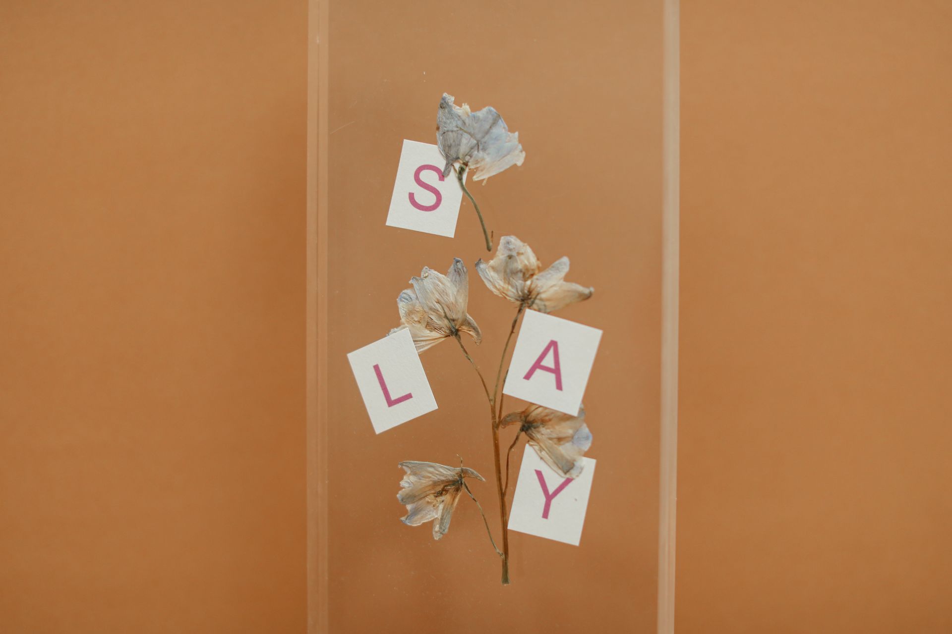 Artistic arrangement of wilted flowers with letters spelling 'SLAY' on a brown background.