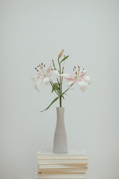 Pink and White Flowers in White Ceramic Vase