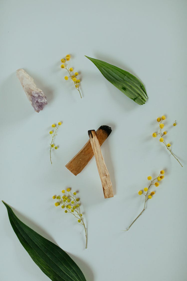 Palo Santo On White Background