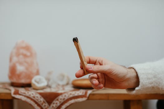 A close-up of a hand holding a Palo Santo stick, symbolizing mindfulness and relaxation.