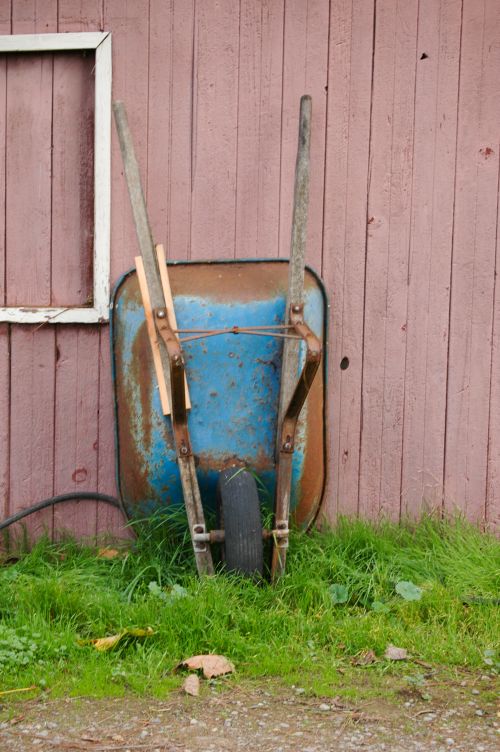 Free An old rusty blue wheelbarrow leaning against a rustic wooden shed wall. Stock Photo