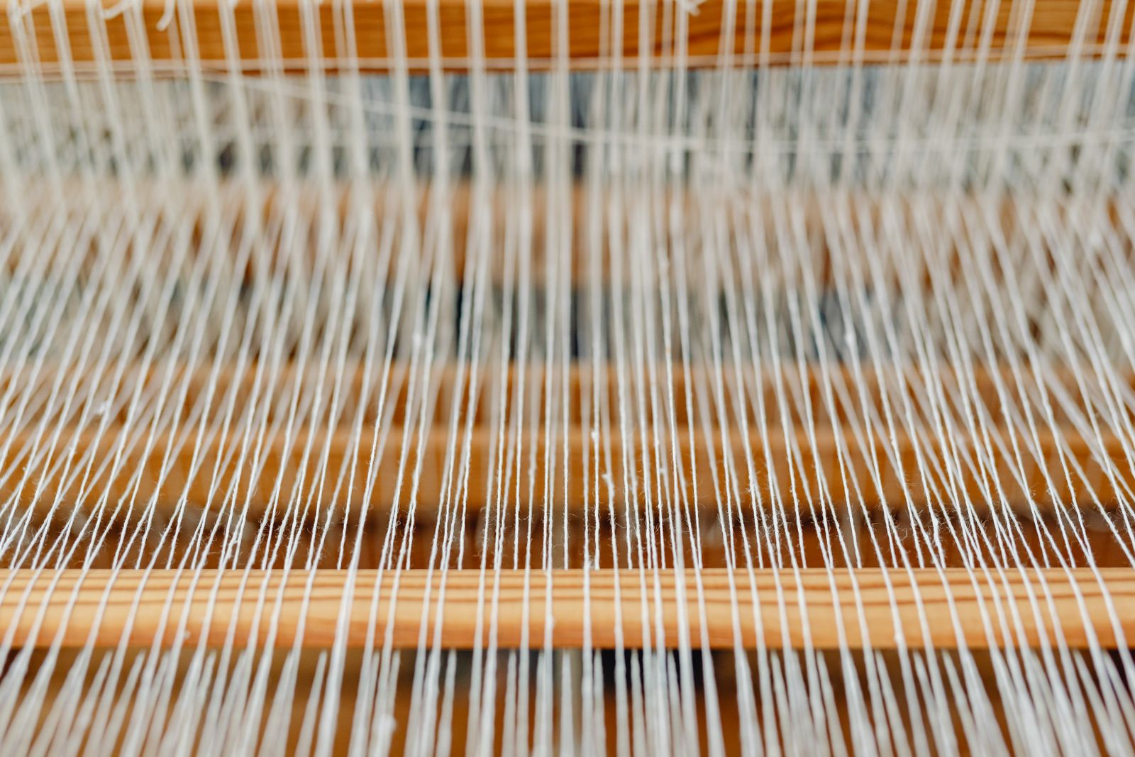 Warp threads on a loom, close up