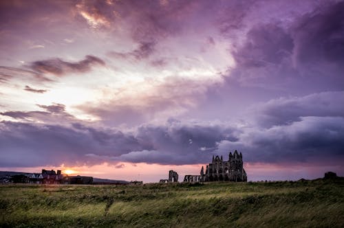 Základová fotografie zdarma na téma architektura, fialová, hrad