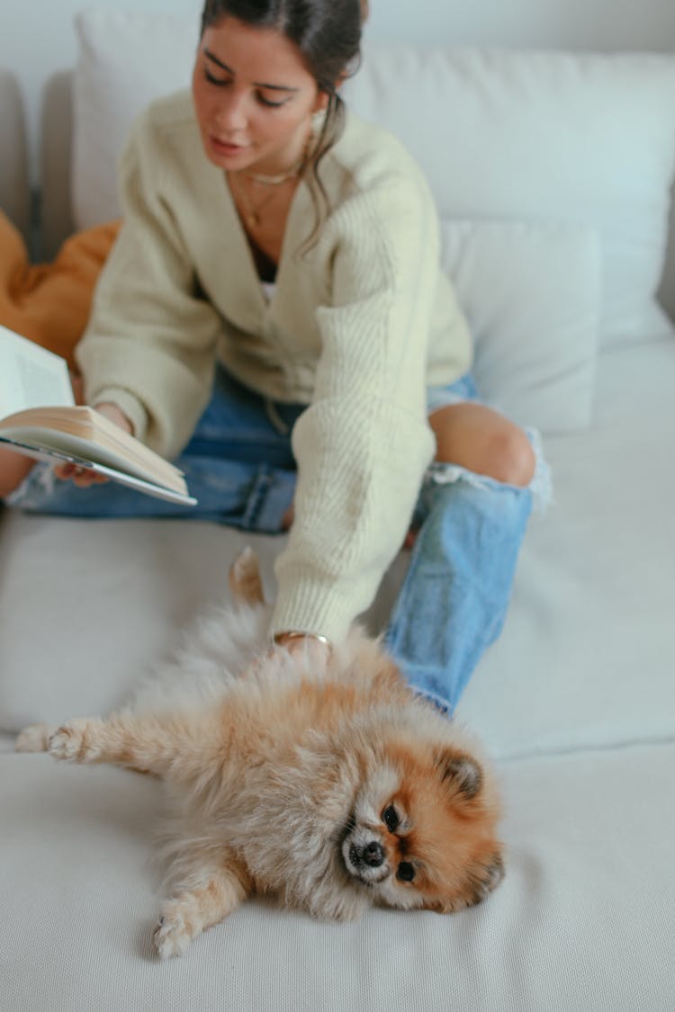 Woman Reading A Book While Petting A Dog