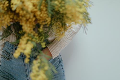 Gratuit Imagine de stoc gratuită din a închide, blugi, flori galbene Fotografie de stoc