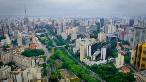 Aerial view of modern multistory buildings and road surrounded by lush green trees in downtown of Sao Paulo on cloudy day