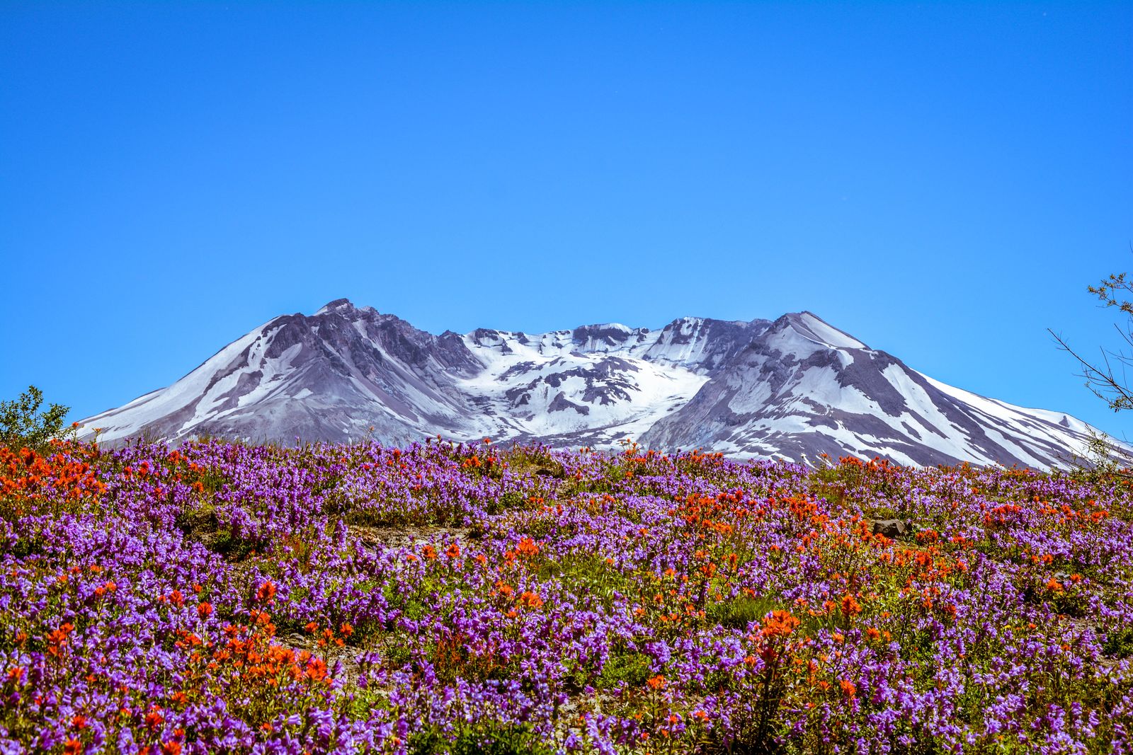 Purple slopes below the peak paint by numbers