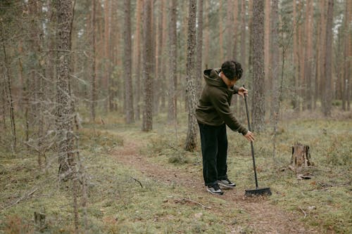 bezplatná Základová fotografie zdarma na téma čištění, držení, les Základová fotografie