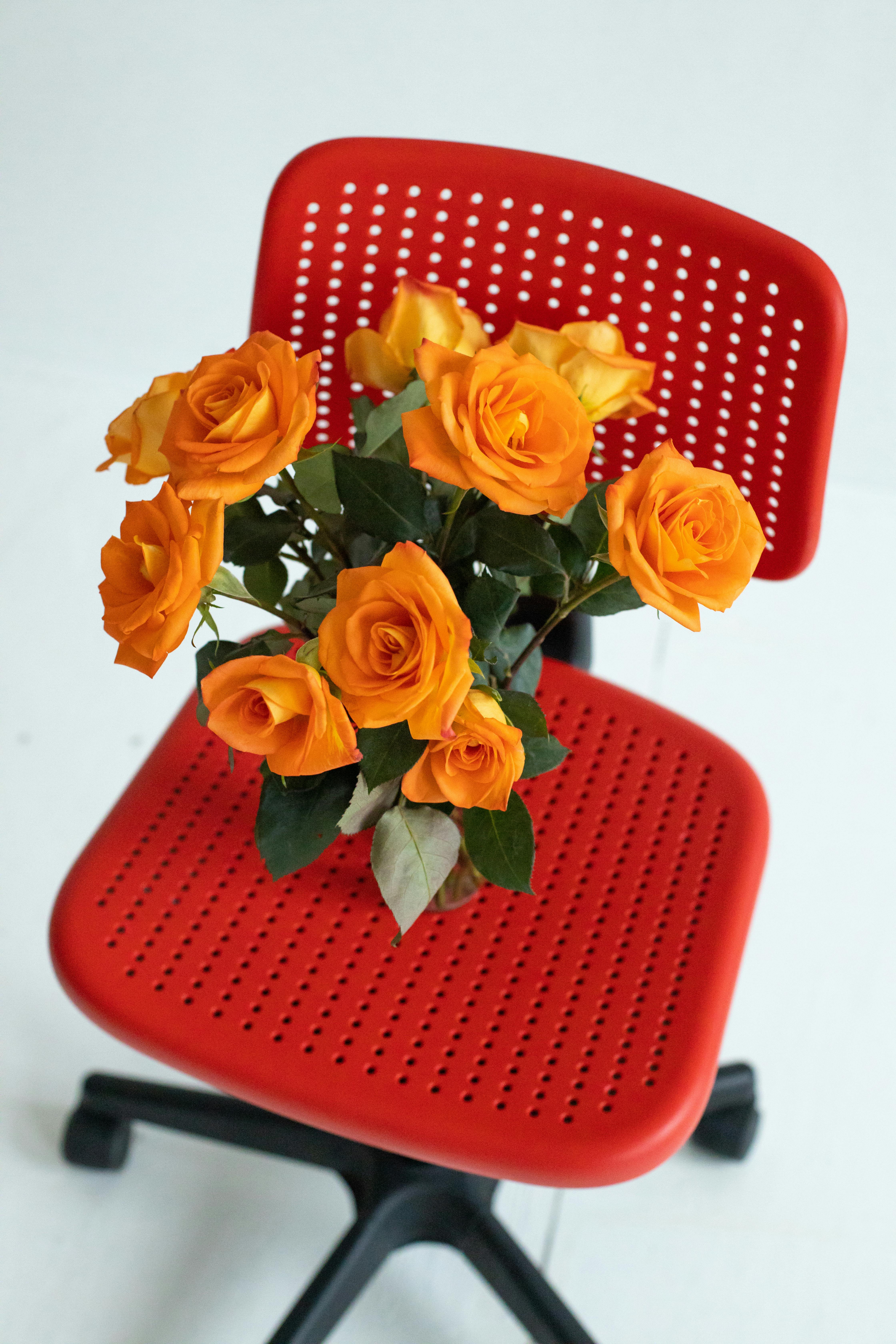 Bright orange roses elegantly placed on a modern red chair indoors.