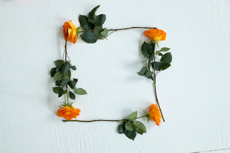 Four Orange Roses Arranged To Make A Square Shape 