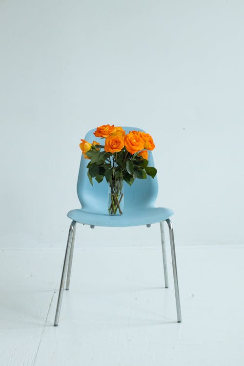 Roses in Vase on Chair in Studio