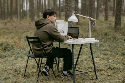 Gratis stockfoto met bossen, computer, gras