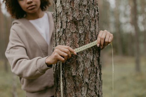 Gratis stockfoto met absurd, Afro-Amerikaanse vrouw, boom