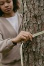 Woman Measuring A Tree Trunk With Tape Measure