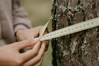 Person Using A Tape Measure