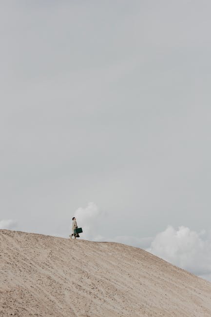 The Benefits Of Seeking Feedback And How To Use It. 12 Learning From Feedback