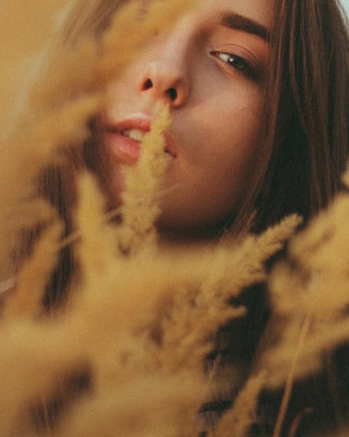 Free Calm young woman looking at camera through tall reeds in nature Stock Photo