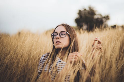 Confident young female millennial with long hair in casual clothes and eyeglasses resting in meadow with tall dry grass and looking away