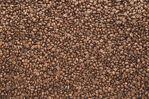 Overhead Shot of Coffee Beans