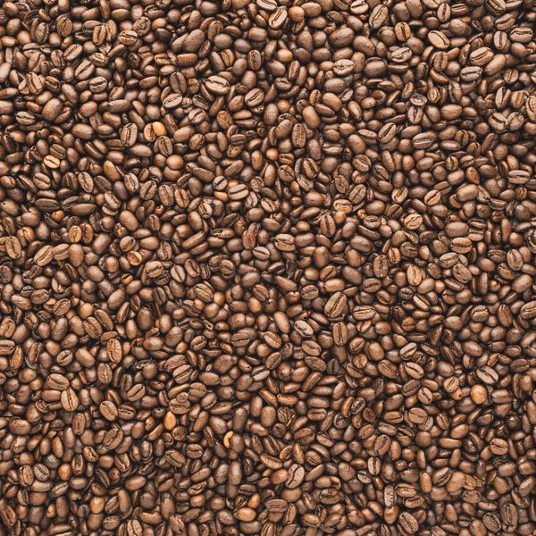 Coffee beans close-up showing quality