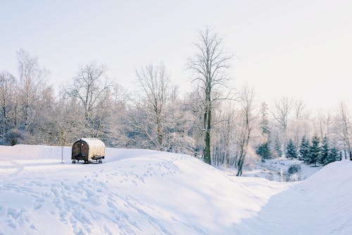 Photos gratuites de arbres, campagne, couvert de neige