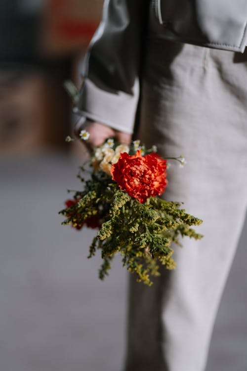Free A Person Holding Flowers Stock Photo