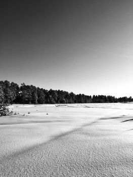 Black and white photo of a snowy forest landscape, depicting a calm winter scene.