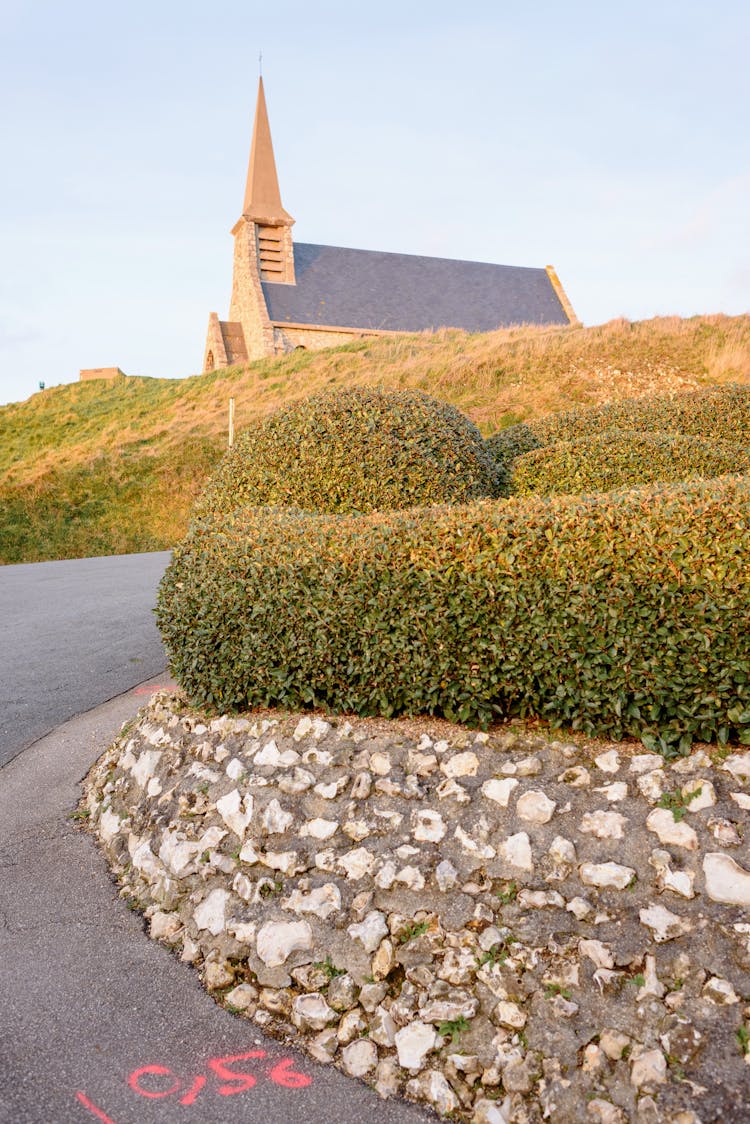 Hedge On Roundabout