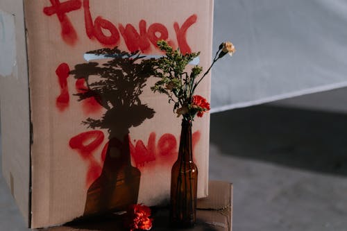 Základová fotografie zdarma na téma aktivismus, heslo, květiny