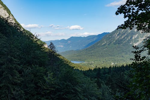 山岳, 山湖, 木の無料の写真素材