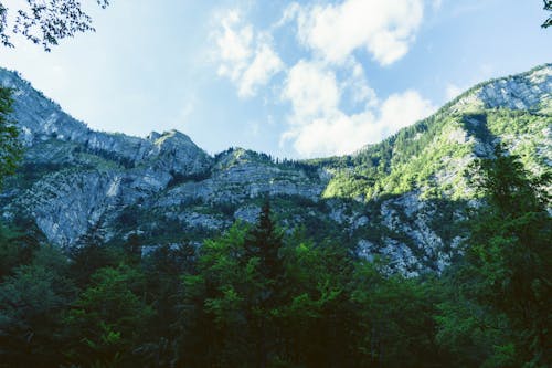 Low Angle View of a Rocky Mountain with Green Trees