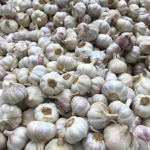 Free White Garlic on Brown Wooden Surface Stock Photo