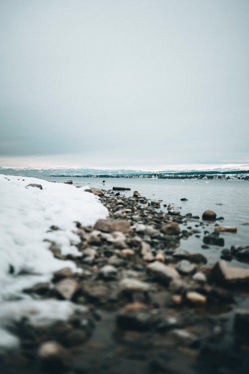 Foto profissional grátis de beira do lago, céu cinza, com frio