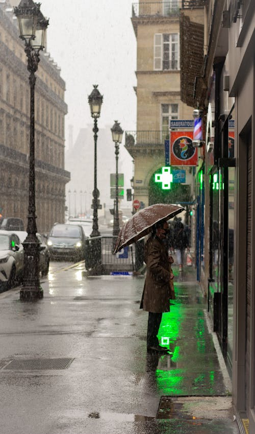 Kostnadsfri bild av gata, louvre, paraply