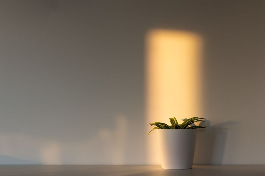 Late afternoon light falling across a plain wall