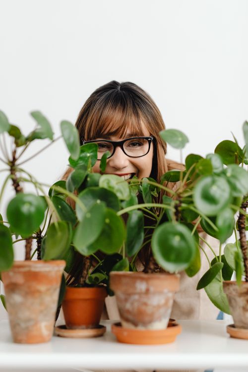 Free Smiling woman with glasses peeking through lush green houseplants in terracotta pots. Stock Photo