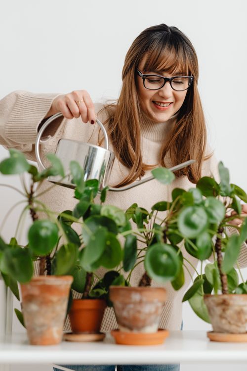 Free Smiling woman nurturing green indoor houseplants with a metal watering can. Stock Photo