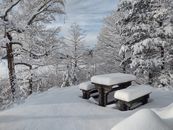 Brown Wooden Bench Covered With Snow
