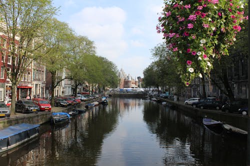 Foto profissional grátis de Amsterdã, arquitetura, árvores