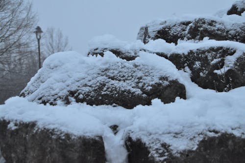 Gratis lagerfoto af sne, vinter