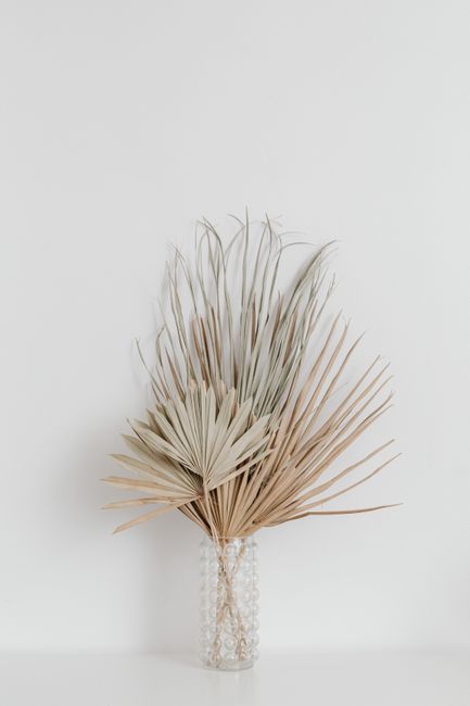 A minimalist arrangement of dried palm leaves in a textured glass vase against a white background.