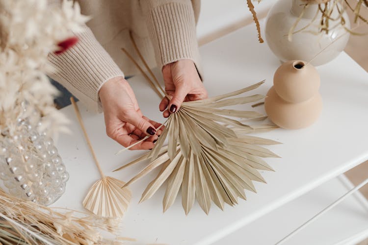 Womans Hands With Dark Nail Polish Holding Beige Dry Plants