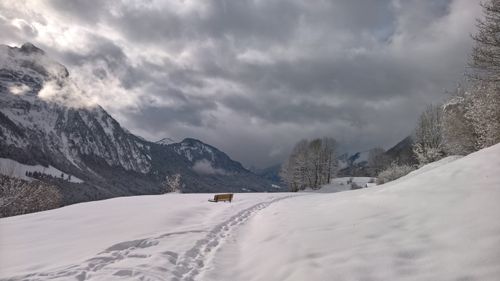 Free stock photo of bench, cloudy, snow Stock Photo