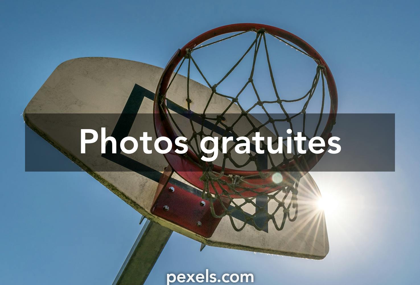 66 500+ Panier De Basket Photos, taleaux et images libre de droits
