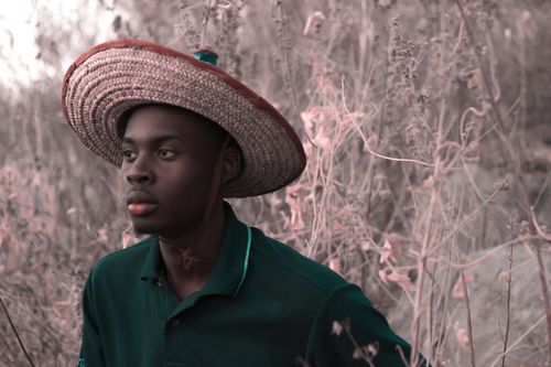 Free A man in a straw hat stands amidst tall grass in an outdoor setting. Stock Photo